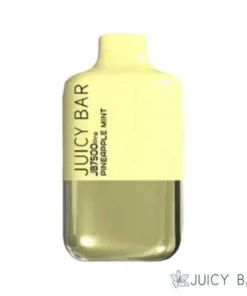 Pineapple Mint – Juicy Bar