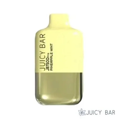 Pineapple Mint – Juicy Bar
