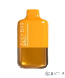 Mango Watermelon – Juicy Bar